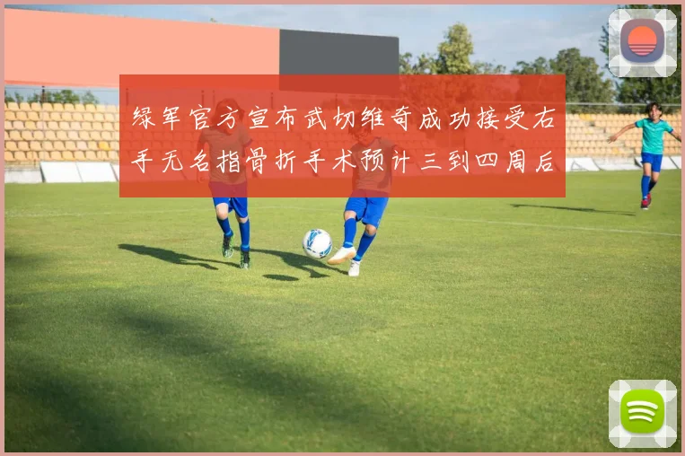 绿军官方宣布武切维奇成功接受右手无名指骨折手术预计三到四周后复查