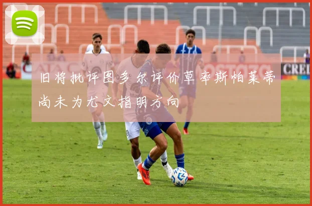 旧将批评图多尔评价草率斯帕莱蒂尚未为尤文指明方向